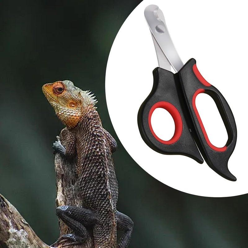 KEUYE Bearded Dragon Nail Clippers,Stainless Steel Bearded Dragon Toe Nail Clippers with Precise Angled Edges (Reddish Black) - Image 5